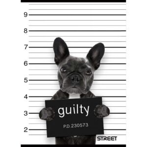 Zvezek A4 TRDE PLATNICE MALI KARO STREET YOUNG Zvezek A4 TRDE PLATNICE MALI KARO STREET YOUNG