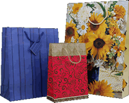 Vrečka darilna motivi