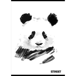 Zvezek A4 ČRTE BLACK&WHITE 80G/54L Zvezek A4 ČRTE BLACK&WHITE 80G/54L