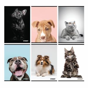 Zvezek A4 ČRTE STREET FRIEND 80G/54L Zvezek A4 ČRTE STREET FRIEND 80G/54L