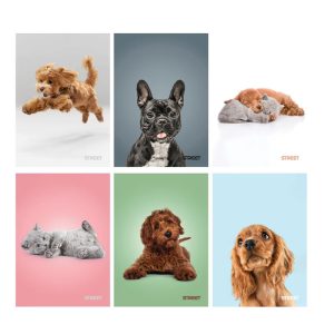 Zvezek A4 ČRTE STREET FRIEND 80G/54L Zvezek A4 ČRTE STREET FRIEND 80G/54L