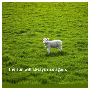 Koledar MOTIVACIJSKI 2026 Koledar MOTIVACIJSKI 2026