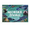 Knjiga ODKRIVAMO MORSKE ŽIVALI