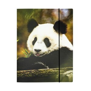Mapa A4 Z ELASTIKO PANDA