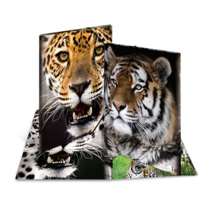 Mapa A3 Z ELASTIKO + KLAPO PP  LEOPARD