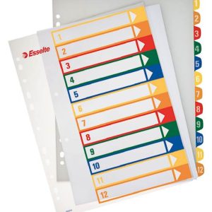 Karton PREGRADNI ESSELTE A4, PP, BARVNI, 1-12