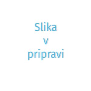Delovni ZVEZEK RAZISKUJEM AFRIKO IN NOVI SVET 8