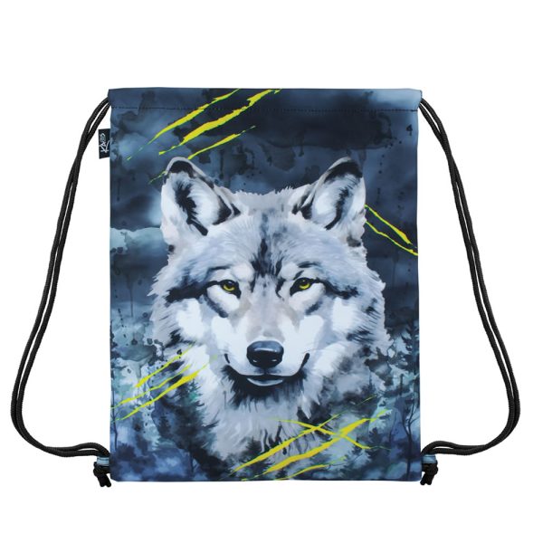 Vrečka ZA COPATE KAOS ALPHA
