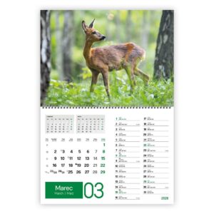 Koledar ZELENI ZAKLADI 2026 2 DELNI