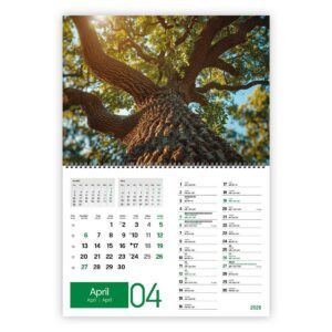 Koledar ZELENI ZAKLADI 2026 2 DELNI