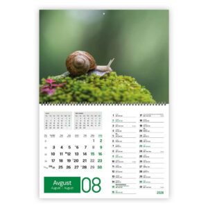 Koledar ZELENI ZAKLADI 2026 2 DELNI