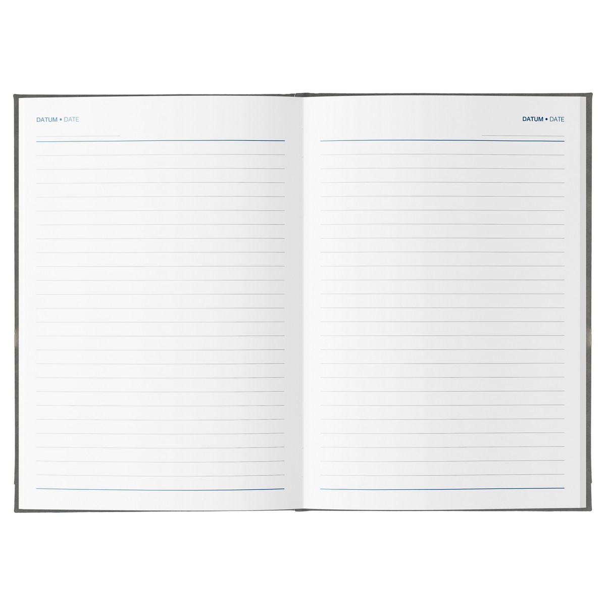 Dnevnik NOLA SIV Dnevnik NOLA SIV - slika 2