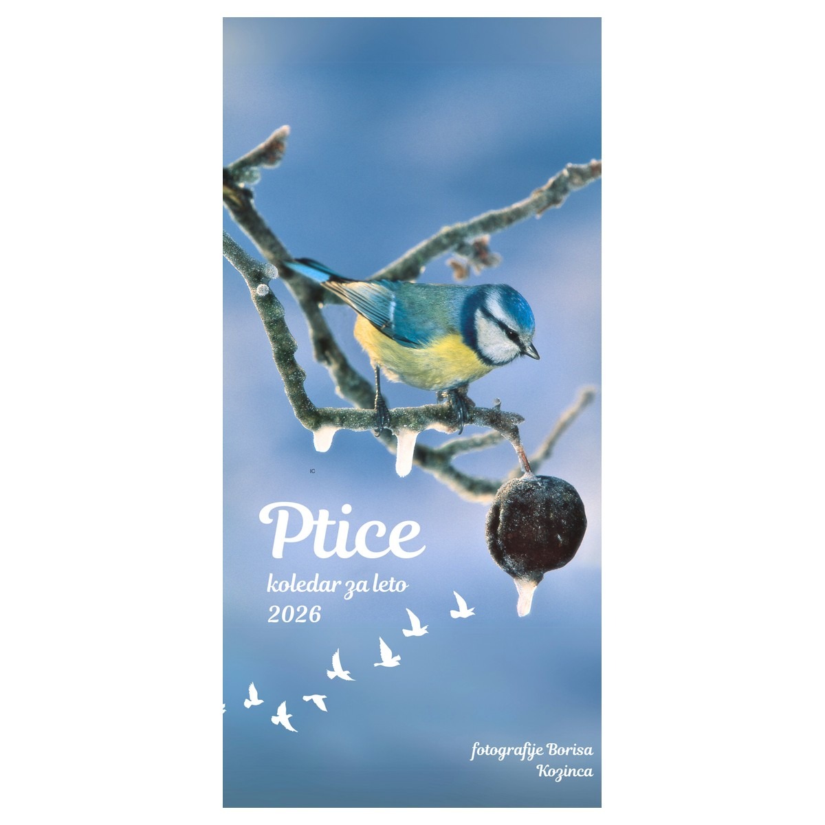 Koledar PTICE 2026 Koledar PTICE 2026