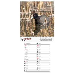 Koledar PTICE 2026 Koledar PTICE 2026