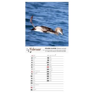 Koledar PTICE 2026 Koledar PTICE 2026