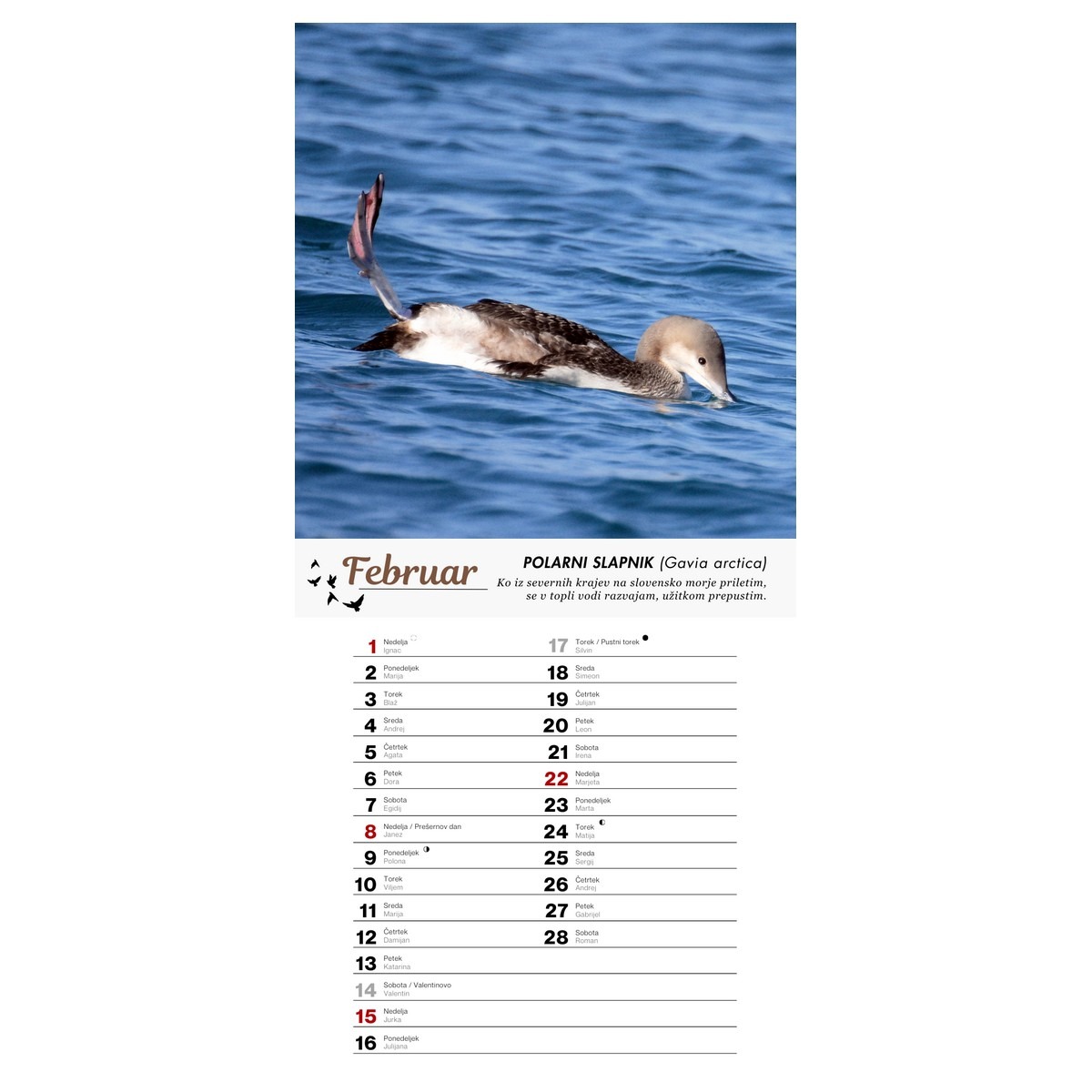 Koledar PTICE 2026 Koledar PTICE 2026 - slika 3