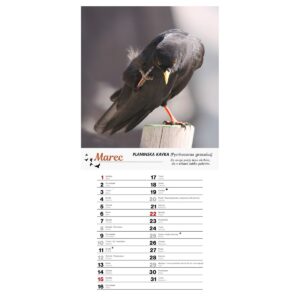 Koledar PTICE 2026 Koledar PTICE 2026