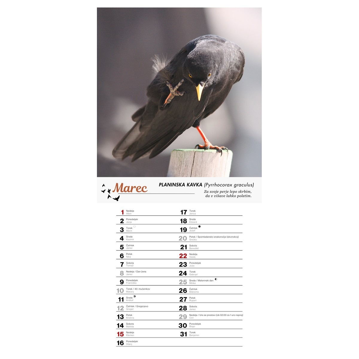 Koledar PTICE 2026 Koledar PTICE 2026 - slika 4