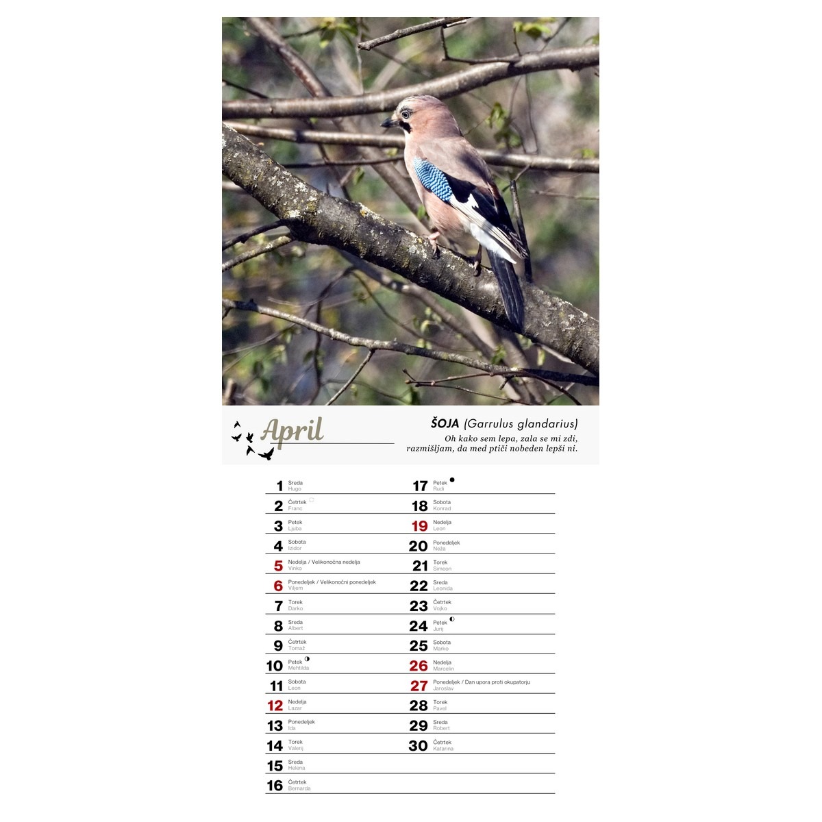 Koledar PTICE 2026 Koledar PTICE 2026 - slika 5