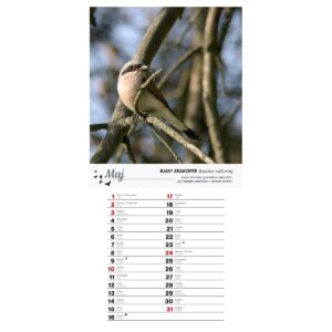 Koledar PTICE 2026 Koledar PTICE 2026