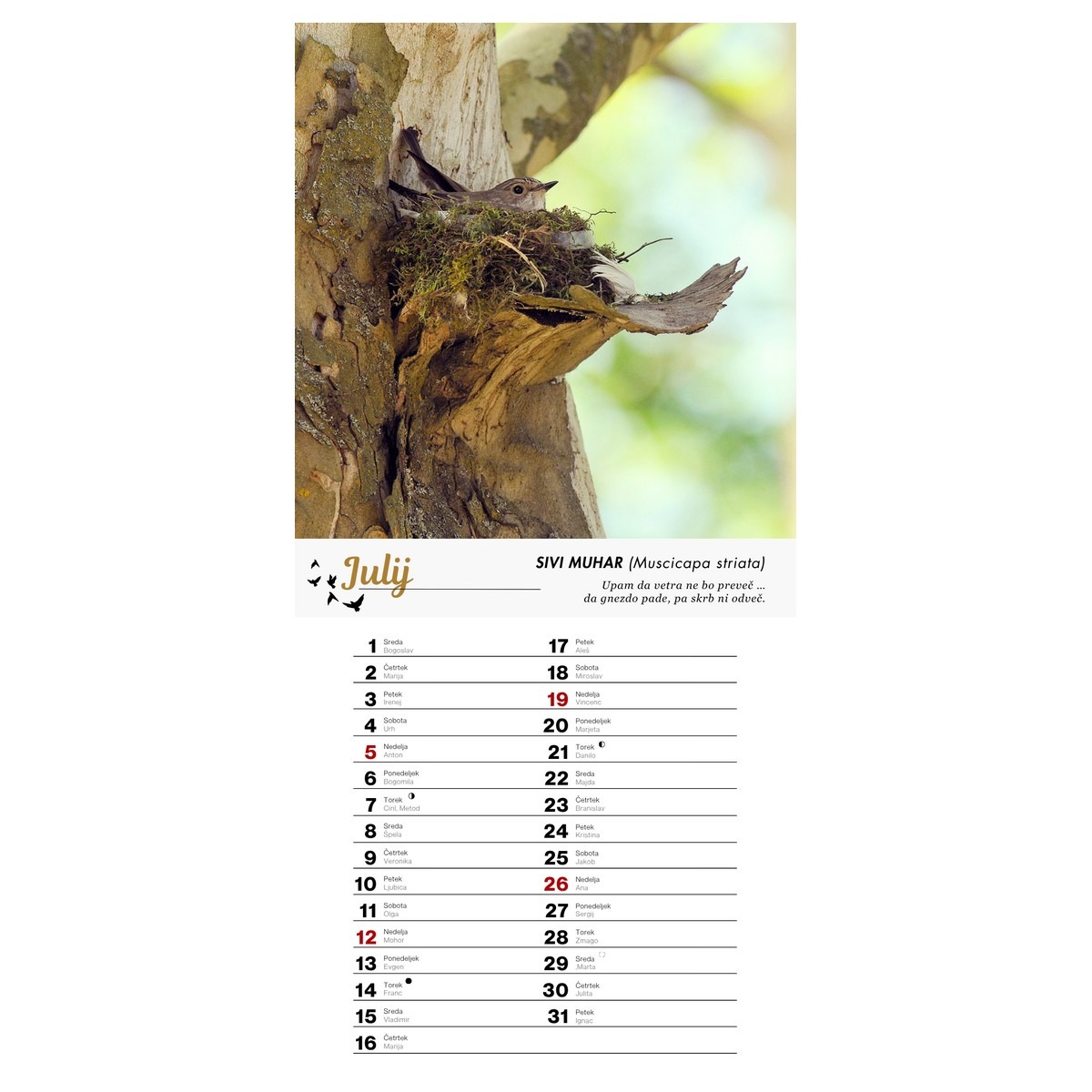 Koledar PTICE 2026 Koledar PTICE 2026 - slika 8