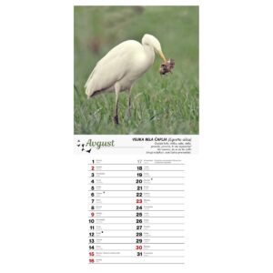 Koledar PTICE 2026 Koledar PTICE 2026