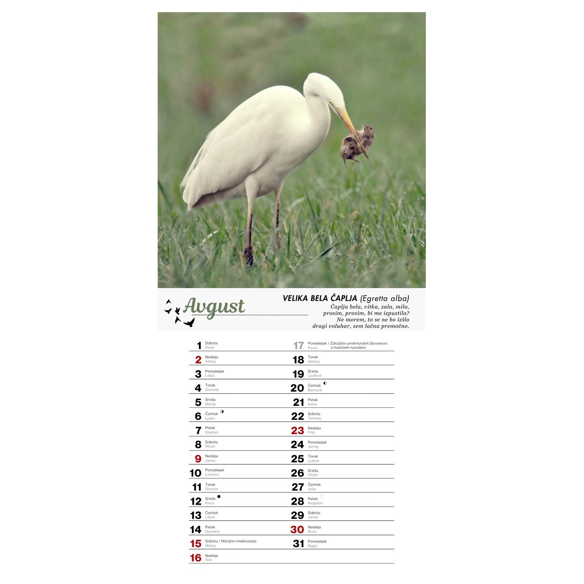 Koledar PTICE 2026 Koledar PTICE 2026 - slika 9