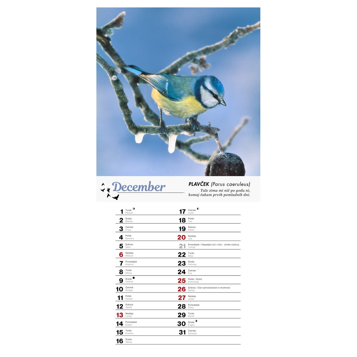 Koledar PTICE 2026 Koledar PTICE 2026 - slika 13