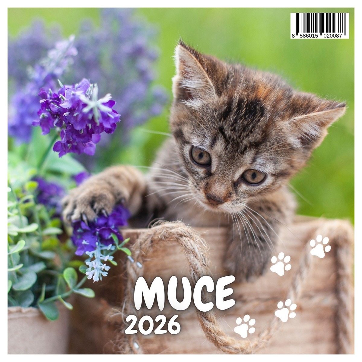 Koledar MUCE 2026 Koledar MUCE 2026