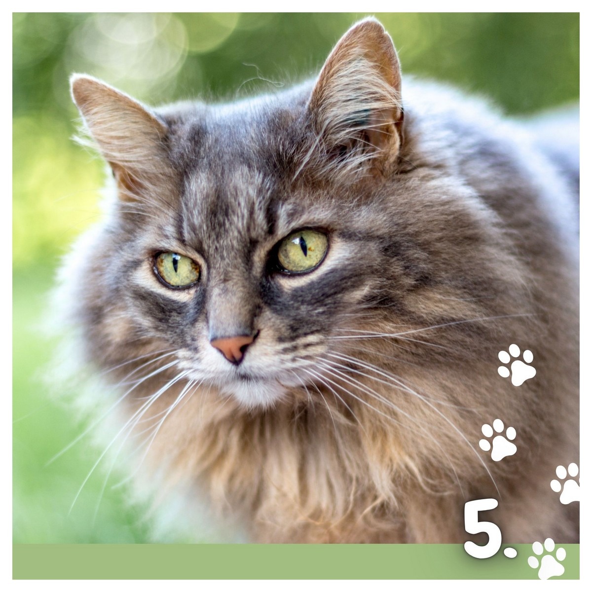 Koledar MUCE 2026 Koledar MUCE 2026 - slika 10