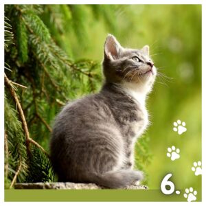 Koledar MUCE 2026 Koledar MUCE 2026