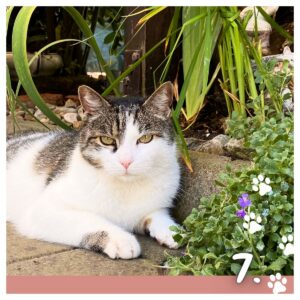 Koledar MUCE 2026 Koledar MUCE 2026