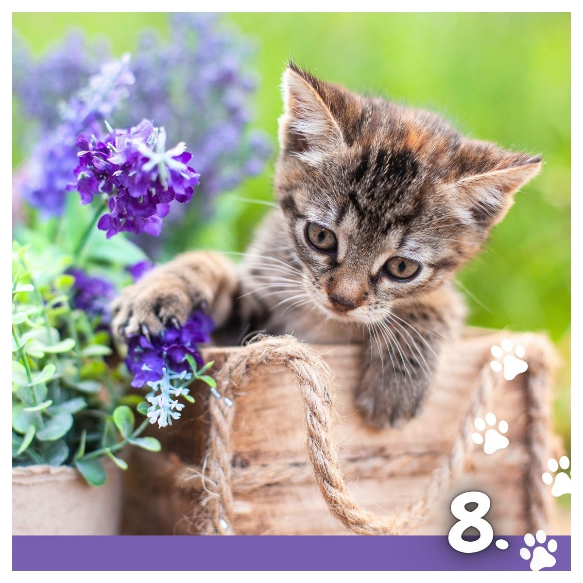 Koledar MUCE 2026 Koledar MUCE 2026 - slika 16