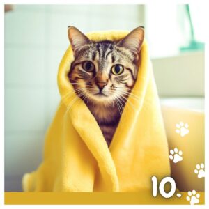 Koledar MUCE 2026 Koledar MUCE 2026