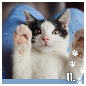 Koledar MUCE 2026 Koledar MUCE 2026