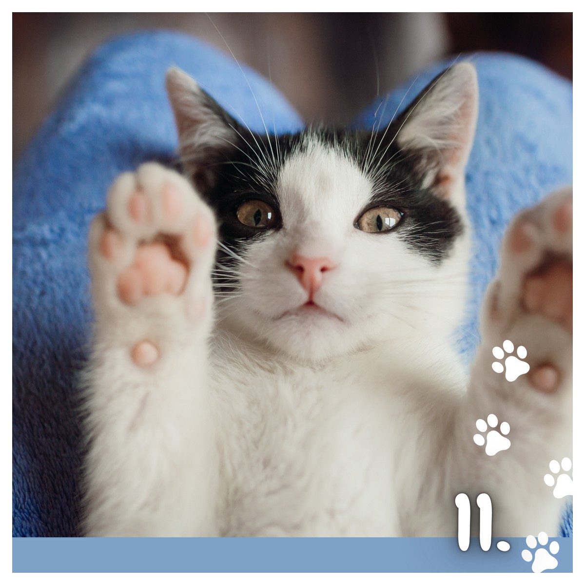 Koledar MUCE 2026 Koledar MUCE 2026 - slika 22