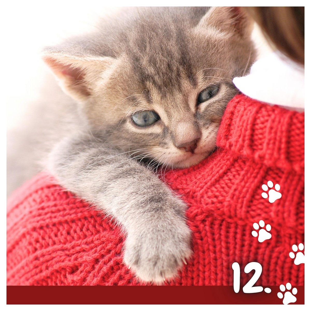 Koledar MUCE 2026 Koledar MUCE 2026 - slika 24