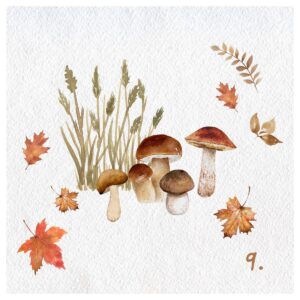 Koledar AKVAREL 2026