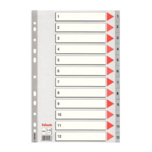 Karton PREGRADNI A4 1-12 SIV