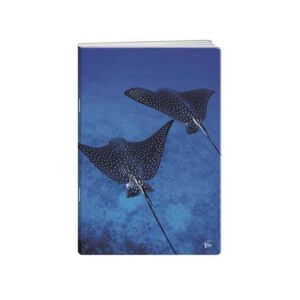 Zvezek A4 ČRTE 80L DEEP BLUE ELISA