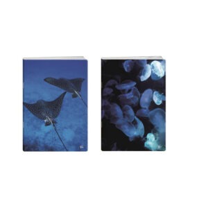 Zvezek A4 MALI KARO 80L DEEP BLUE ELISA