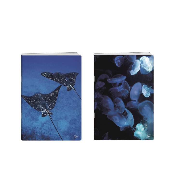 Zvezek A4 MALI KARO 80L DEEP BLUE ELISA Zvezek A4 MALI KARO 80L DEEP BLUE ELISA