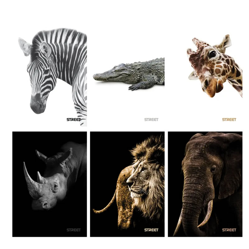 Zvezek A4 MALI KARO SAFARI Zvezek A4 MALI KARO SAFARI
