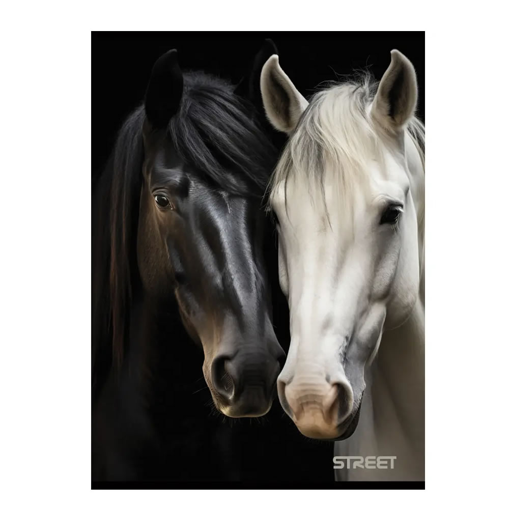 Zvezek A4 MALI KARO STREET HORSES 54L Zvezek A4 MALI KARO STREET HORSES 54L