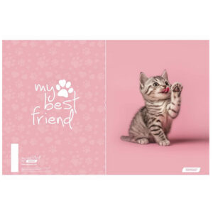 Mapa A4 Z ELASTIKO TARGET MY BEST FRIENDS