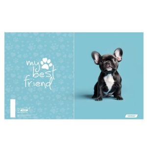 Mapa A4 Z ELASTIKO TARGET MY BEST FRIENDS