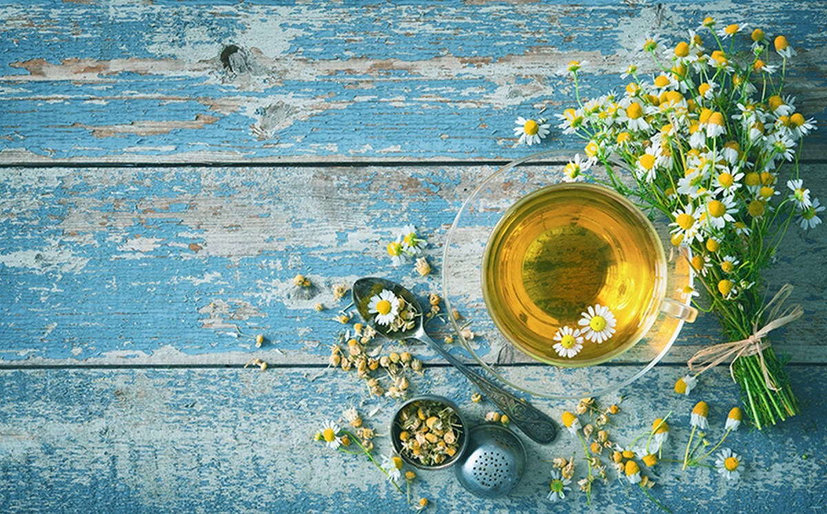 KOLEDAR ČAROBNE ZELI 2027 KOLEDAR ČAROBNE ZELI 2027 - slika 11