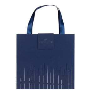 SET PISAL OXFORD BP+NOTESNIK MODRA
